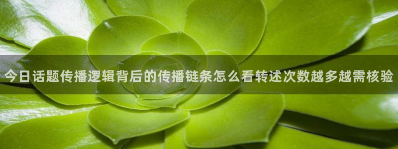 职场黑料今日更新