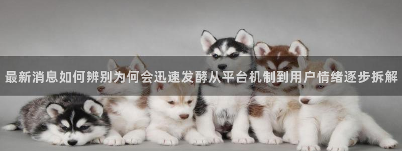主播黑料最新消息
