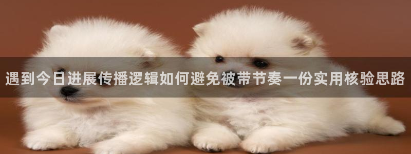 网络黑料原始来源