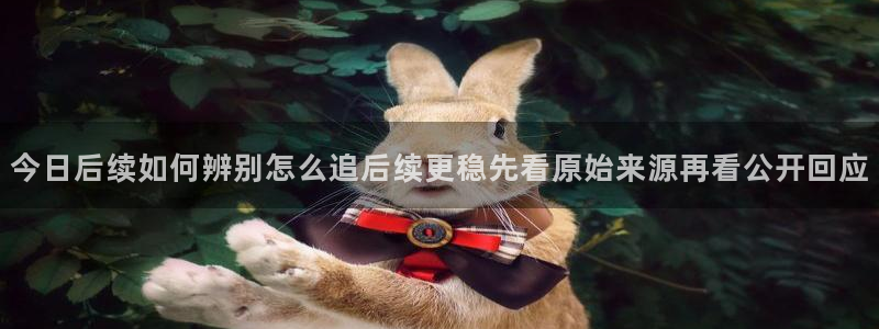 热门黑料证据梳理