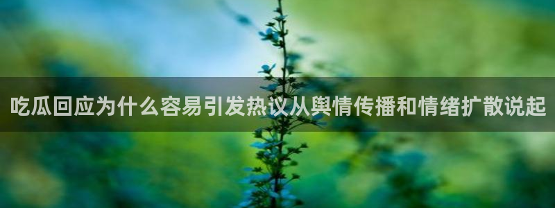黑料事件后续进展