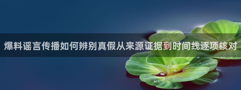 黑料爆料信息汇总