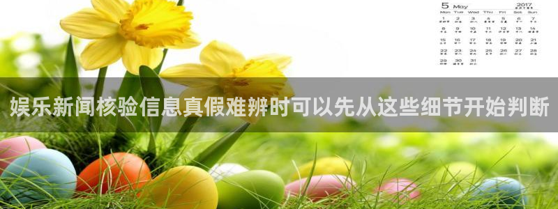 网红黑料信息汇总